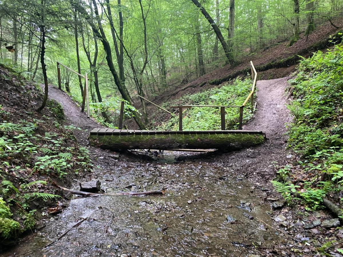Neu!!! Netflix!!! Schoene Ferienwohnungen Im Gruenen Mit Top Ausstattung - Nur 15 Min Bis Koblenz Eitelborn エクステリア 写真